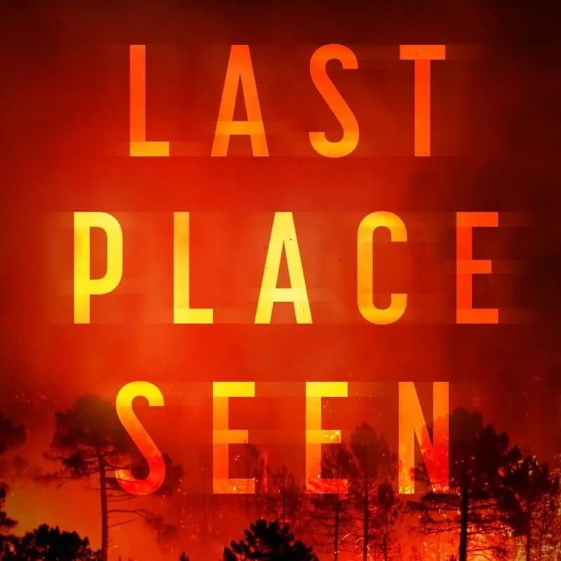 Review: 'Last Place Seen' novel brings justice-minded mystery fiction